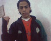 brucelee maroc beni mallal