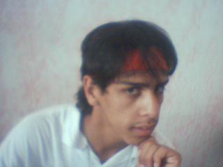 brucelee maroc alkital