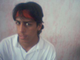 brucelee maroc alkital