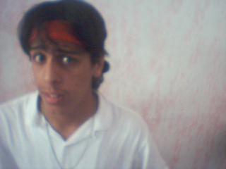 brucelee maroc alkital