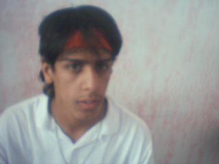 brucelee maroc alkital