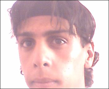 brucelee mrroc.  bani mallal